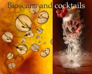 Gustafson Eten-Drinken-Slapen-Design Amsterdam October 17 - December 5  2015