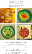 Meijman en Pijbes  Februari 2017 - August 2017