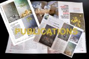 Publications