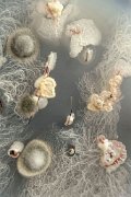 First Prize Photocontest Sugi Hidden Life: Micrbiome of Marsh Fleawort